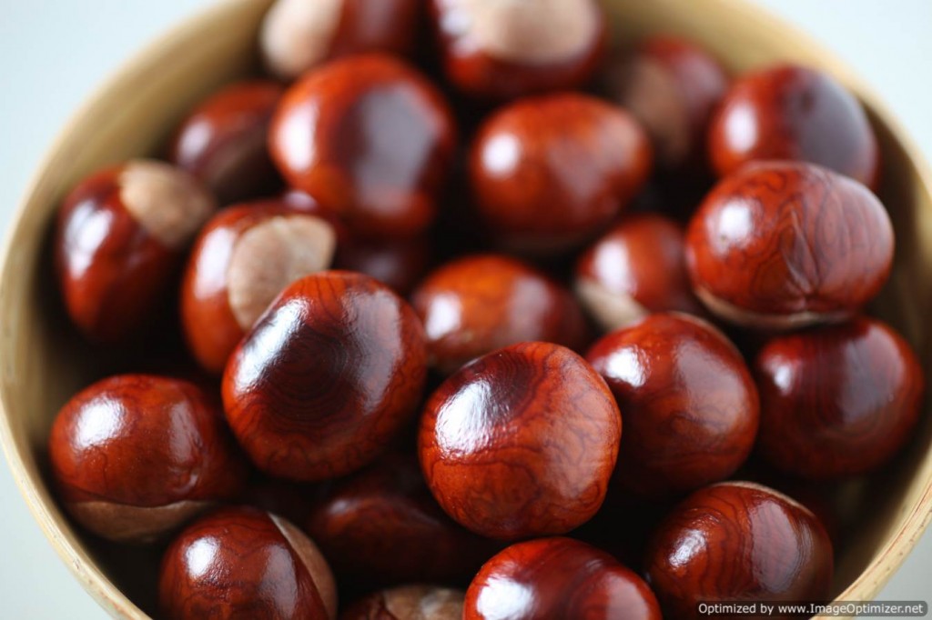 Bowl of conkers