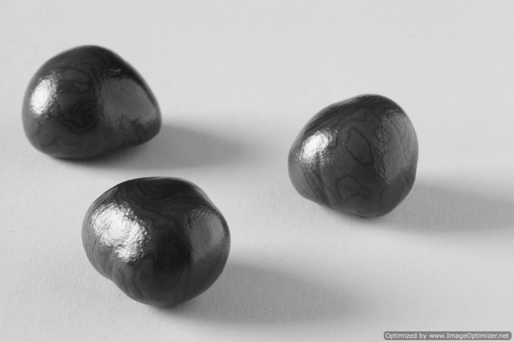 Three conkers in black and white