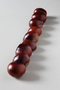 Conkers for depth of field 3